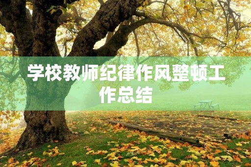 学校教师纪律作风整顿工作总结