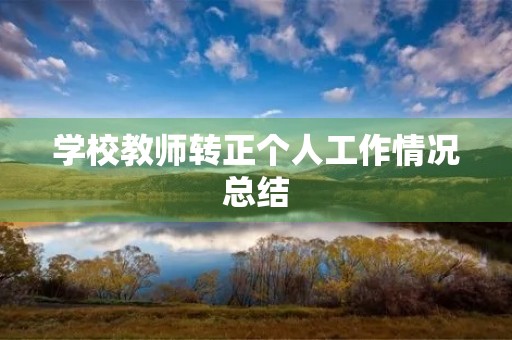 学校教师转正个人工作情况总结