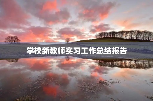 学校新教师实习工作总结报告