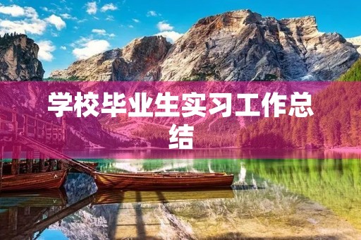 学校毕业生实习工作总结