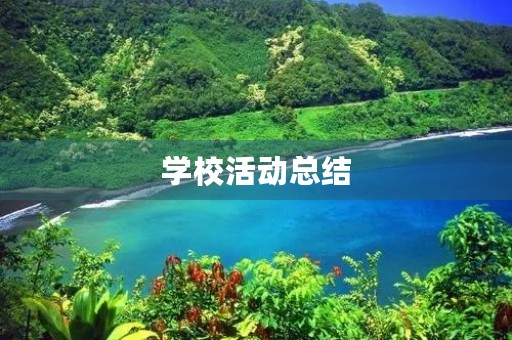 学校活动总结