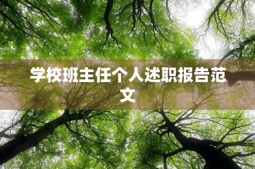 学校班主任个人述职报告范文