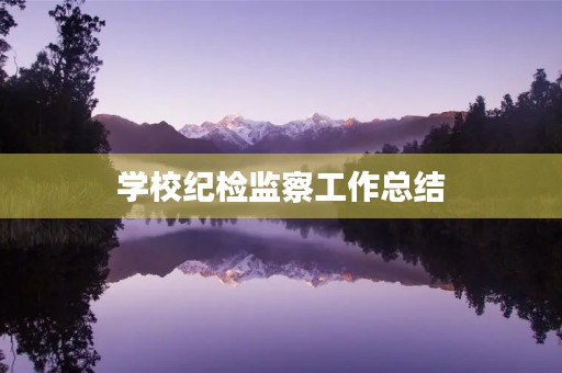 学校纪检监察工作总结