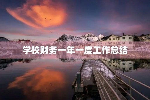 学校财务一年一度工作总结 学校财务一年一度工作总结