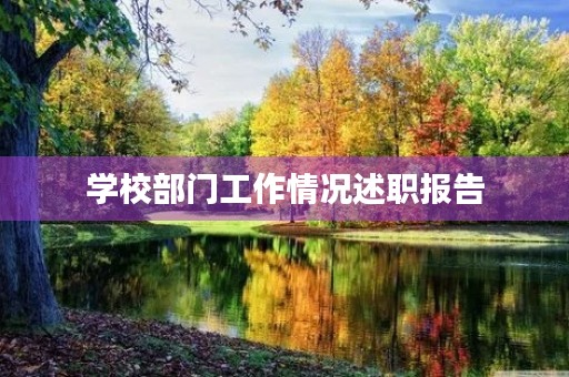 学校部门工作情况述职报告