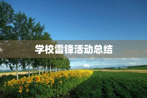 学校雷锋活动总结