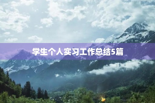 学生个人实习工作总结5篇 学生个人实习工作总结5篇