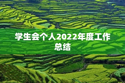 学生会个人2022年度工作总结(7篇)