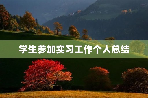 学生参加实习工作个人总结