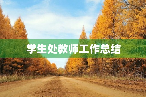 学生处教师工作总结