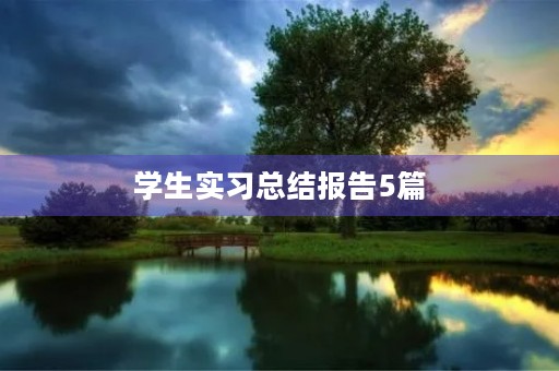 学生实习总结报告5篇