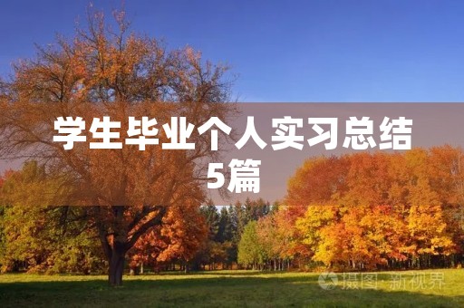 学生毕业个人实习总结5篇