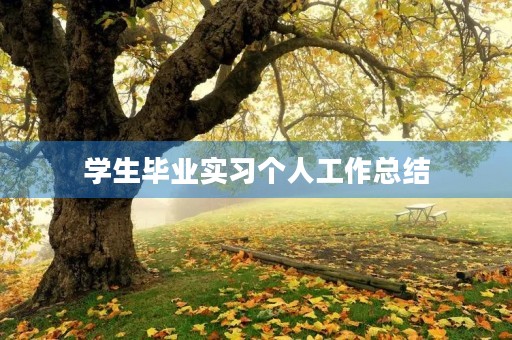 学生毕业实习个人工作总结（16篇）