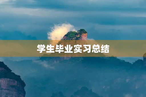 学生毕业实习总结