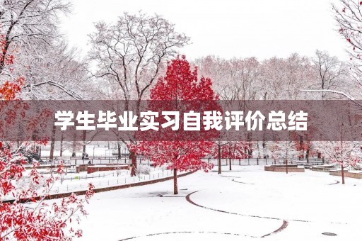 学生毕业实习自我评价总结