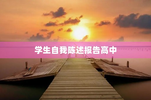 学生自我陈述报告高中