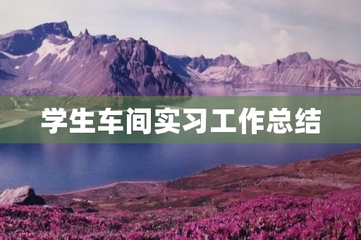 学生车间实习工作总结