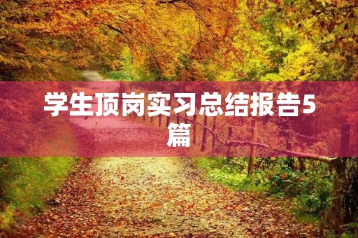 学生顶岗实习总结报告5篇 学生顶岗实习总结报告5篇