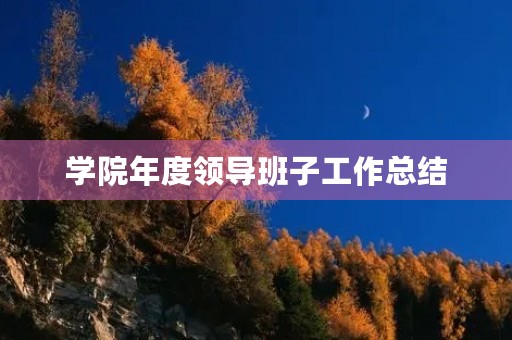 学院年度领导班子工作总结 学院年度领导班子工作总结
