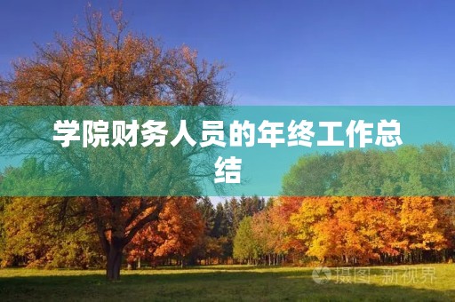 学院财务人员的年终工作总结 学院财务人员的年终工作总结