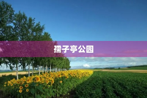孺子亭公园