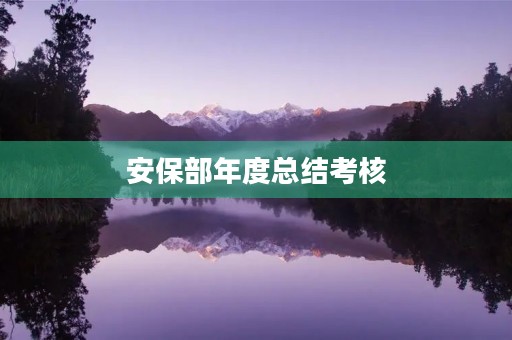 安保部年度总结考核