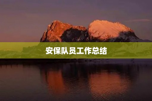安保队员工作总结