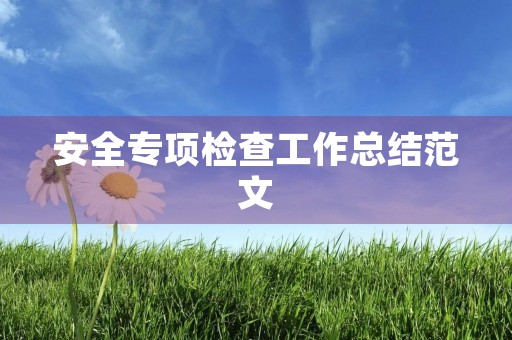 安全专项检查工作总结范文
