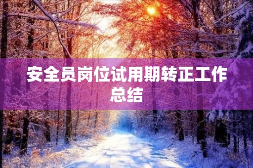安全员岗位试用期转正工作总结