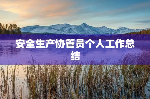 安全生产协管员个人工作总结