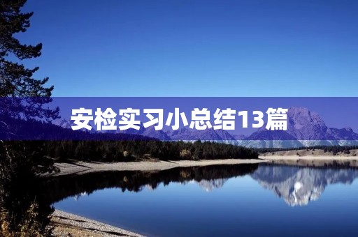 安检实习小总结13篇