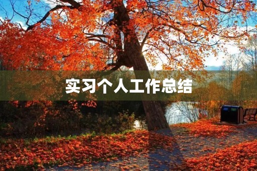 实习个人工作总结【7篇】 实习个人工作总结【7篇】
