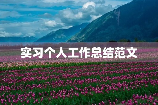 实习个人工作总结范文