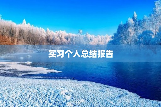 实习个人总结报告【精选七篇】