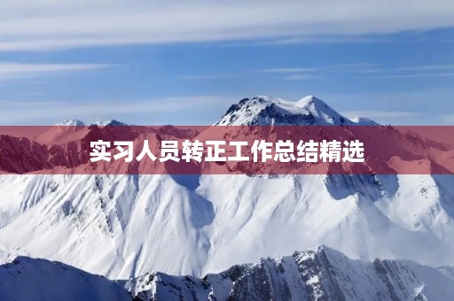 实习人员转正工作总结精选