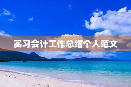 实习会计工作总结个人范文