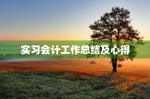 实习会计工作总结及心得