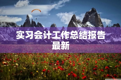 实习会计工作总结报告最新 实习会计工作总结报告最新
