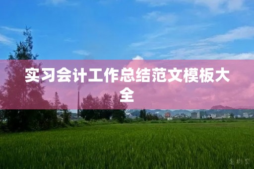 实习会计工作总结范文模板大全