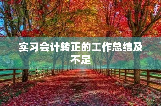 实习会计转正的工作总结及不足