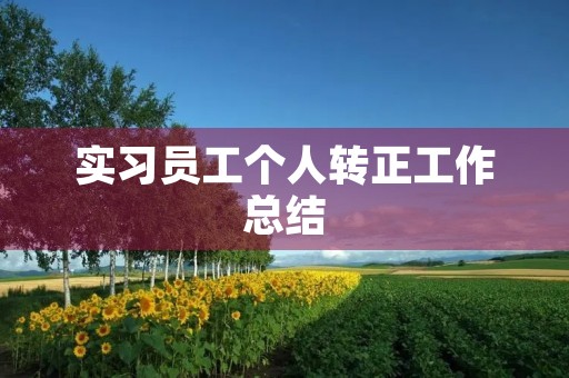 实习员工个人转正工作总结