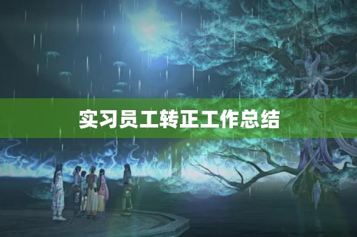 实习员工转正工作总结