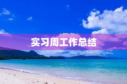实习周工作总结