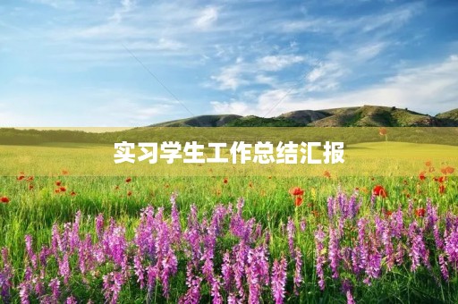 实习学生工作总结汇报 实习学生工作总结汇报