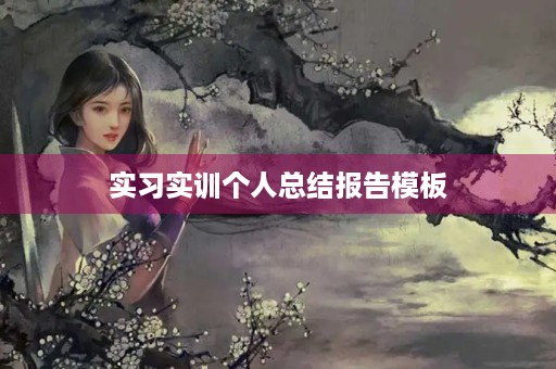 实习实训个人总结报告模板