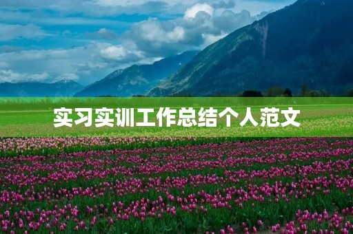 实习实训工作总结个人范文
