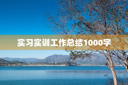 实习实训工作总结1000字