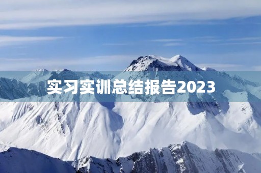 实习实训总结报告2023