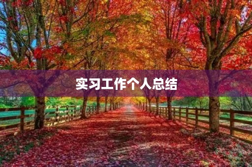 实习工作个人总结 实习工作个人总结