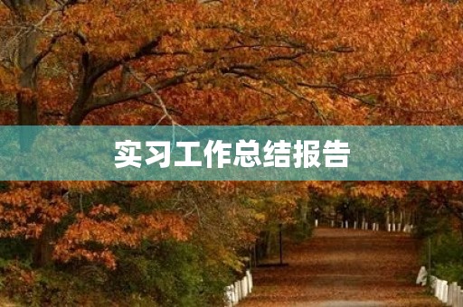 实习工作总结报告 实习工作总结报告